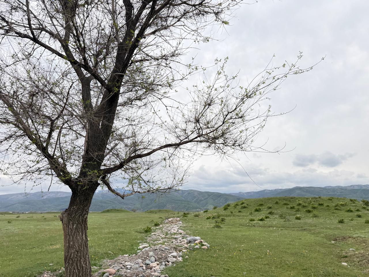 Сақ қорғаны