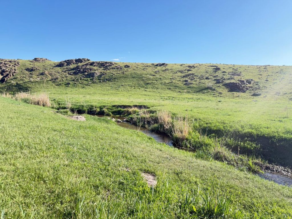 В долине Шу