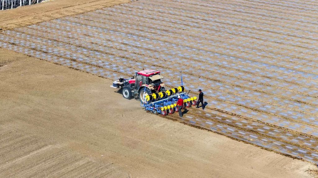 В Синьцзяне стартовал механизированный посев хлопка: задействованы технологии Бэйдоу