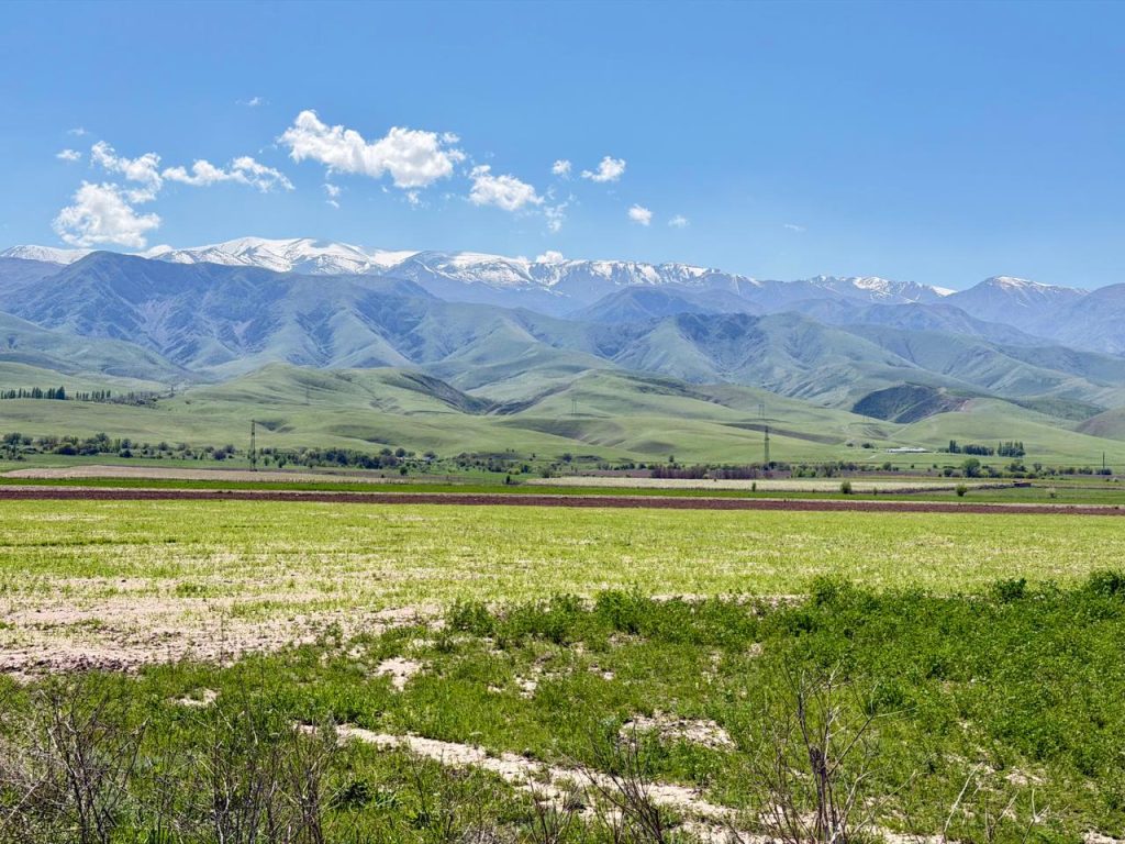 Дорога в Мерке / фото Мадины Ашиловой