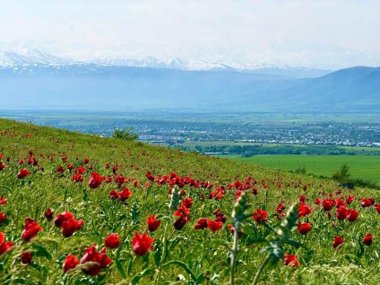 Тюлькубас