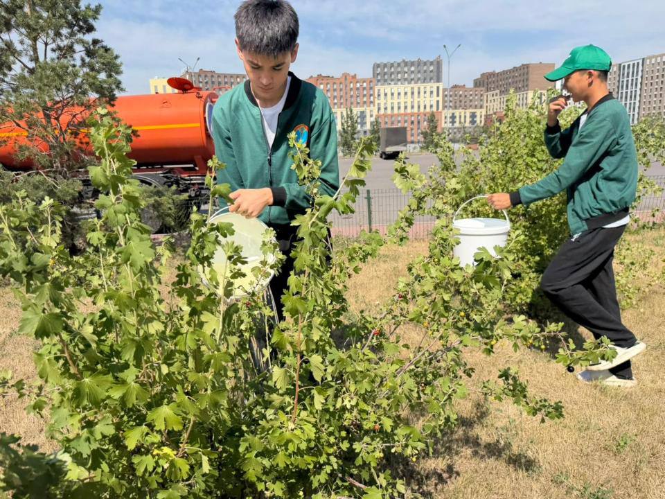 В Астане экологическая акция прошла у мечети «Рыскелді қажы
