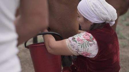 500 кобылиц одновременно