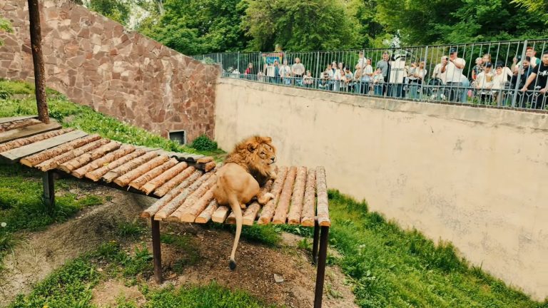 Алматинский зоопарк