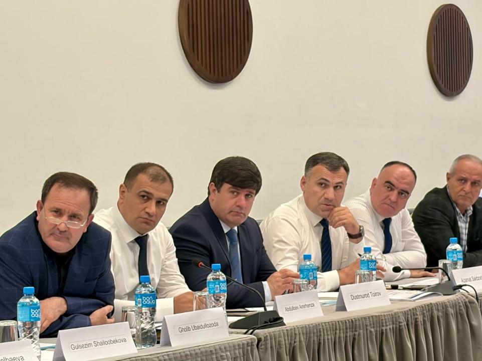Интеграция ВИЭ в энергосистемы: энергетики ЦА обменялись опытом