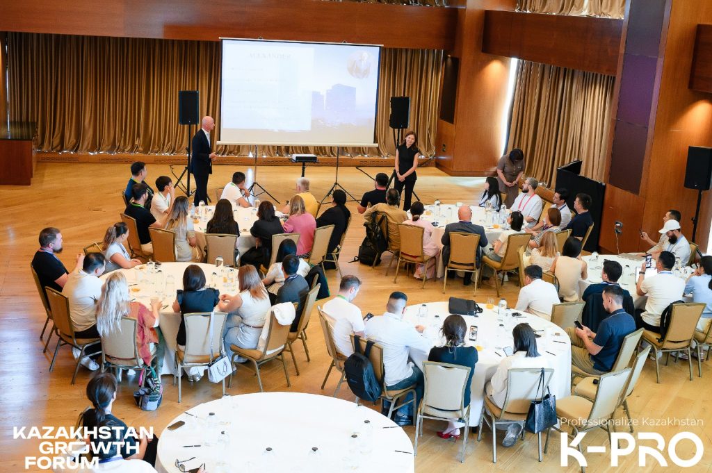 K-PRO бағдарламасы