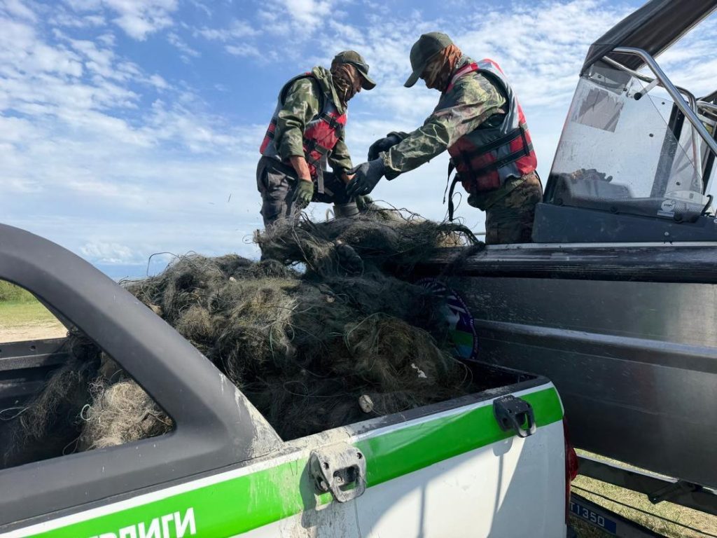 Ыстықкөлден үш күнде 6,8 шақырым заңсыз балық аулау торы шығарылды
