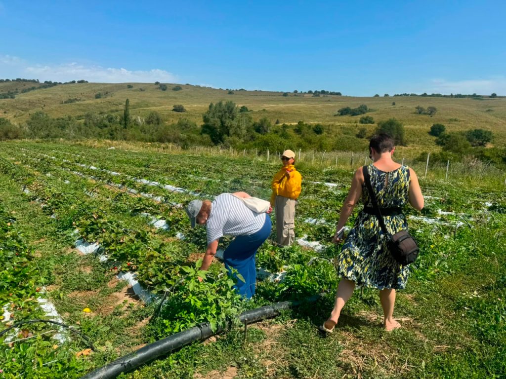 Food and Travel Алматының гастрономиялық әлеуетін зерттеп жатыр Food and Travel Алматы гастрономиясын зерттейді