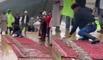 Сүйек сындыру