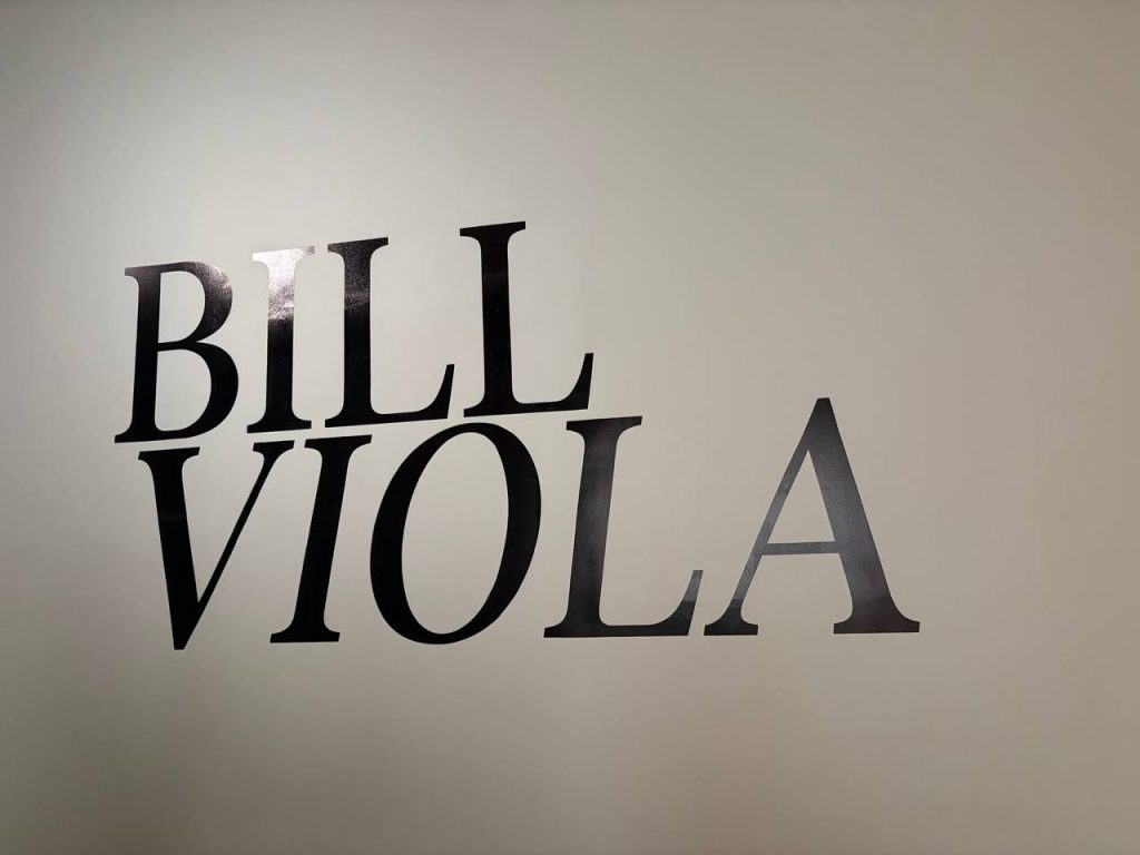 Bill Viola
