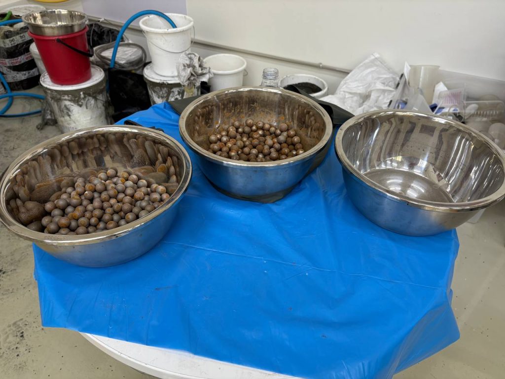 BASF зертханасынасы