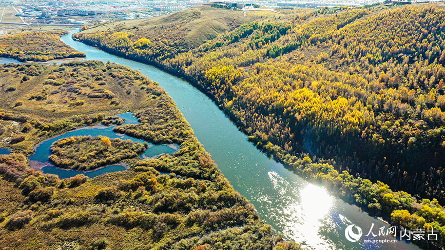 Золотая осень пришла в водно-болотные угодья реки Аргунь