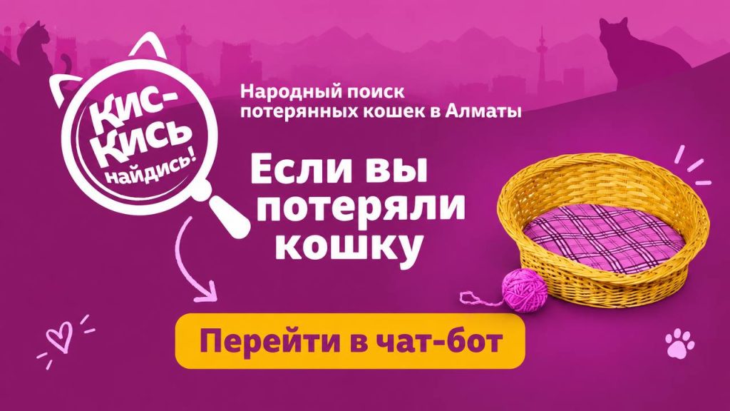 В Казахстане запустили проект для поиска пропавших кошек с помощью AI