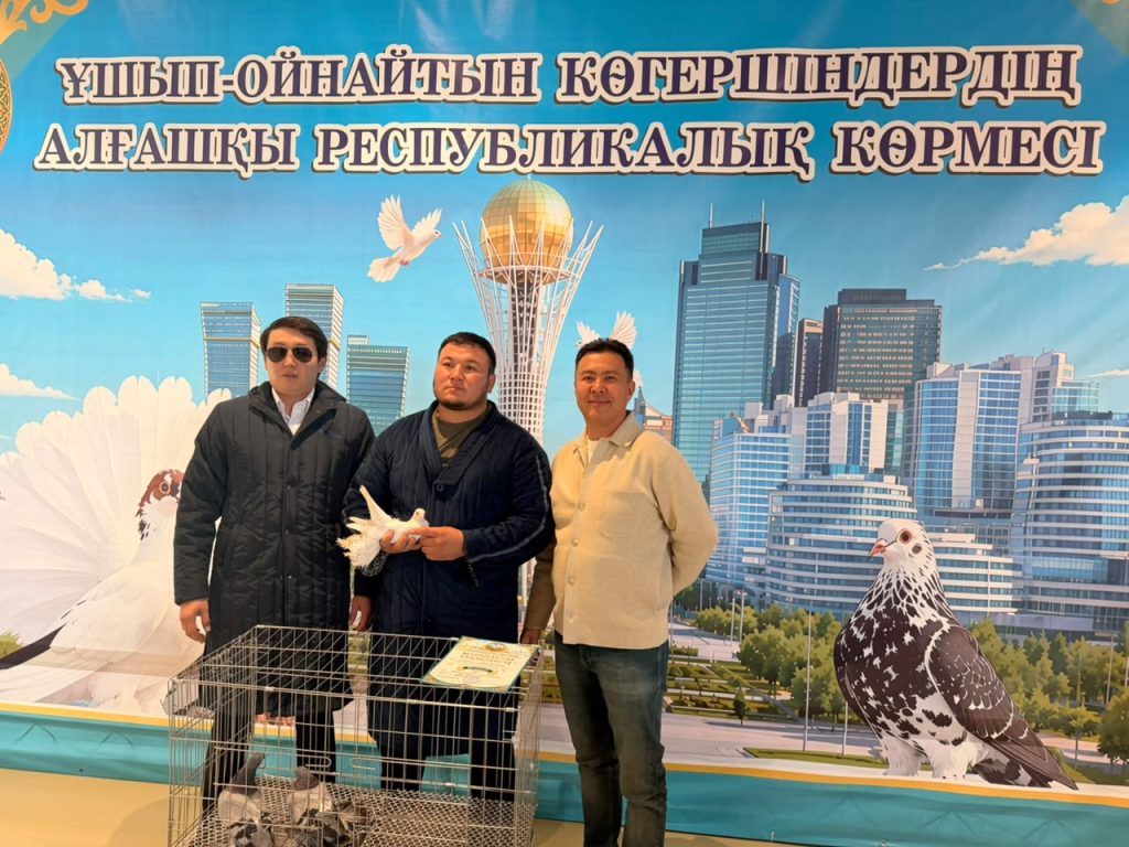 В Косшы впервые прошла республиканская выставка лётно-игровых голубей